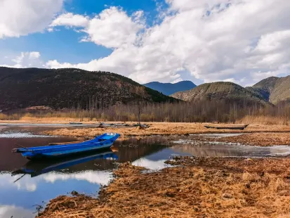 Bobby Kasino Mobilní aplikace